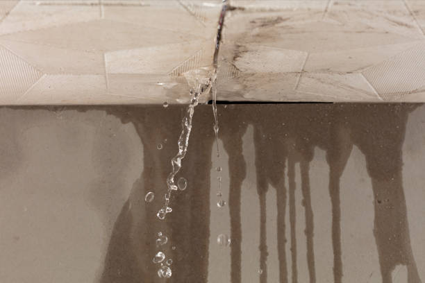 Professional Water Extraction technician working in Memphis, FL
